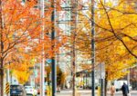 York University Presidents International Scholarship of Excellence 2027 (Fully Funded)
