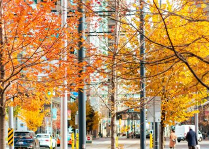 York University Presidents International Scholarship of Excellence 2027 (Fully Funded)